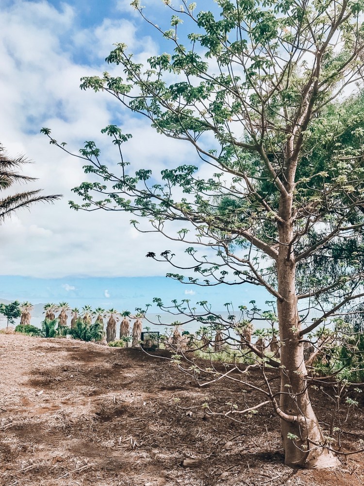 5B292FB7-1E6B-4BF3-A2AE-546B1B3A662E