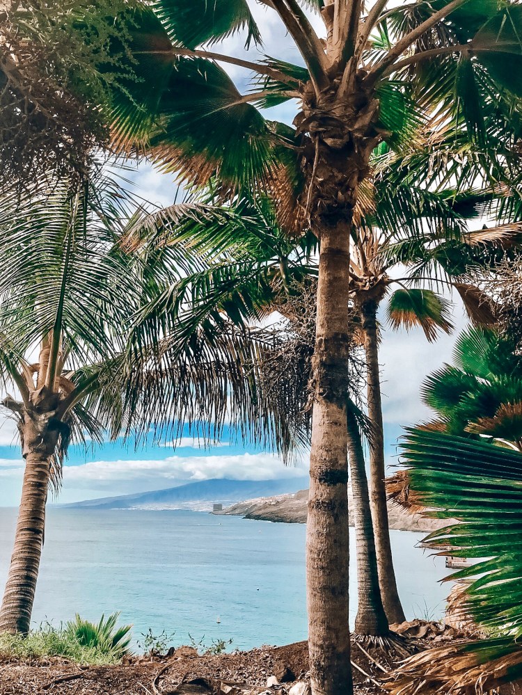 8343726C-BD4E-4E44-A700-085EBC7505C1