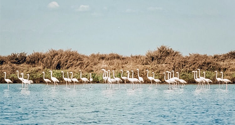 934BC0BC-4181-456E-8C4B-BA051E030EB4