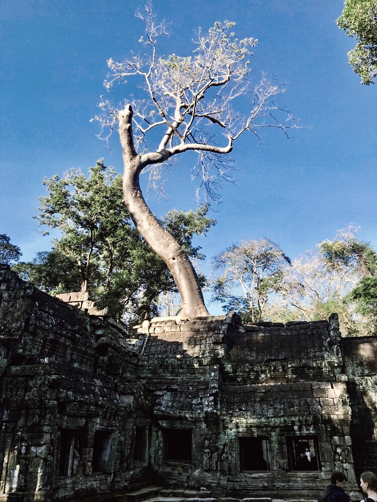 Created with RNI Films app. Preset 'Agfa RSX II v.3'