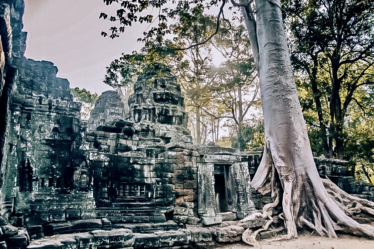 733C04E5-EFEE-408B-ADC3-C3C67B4A66BD