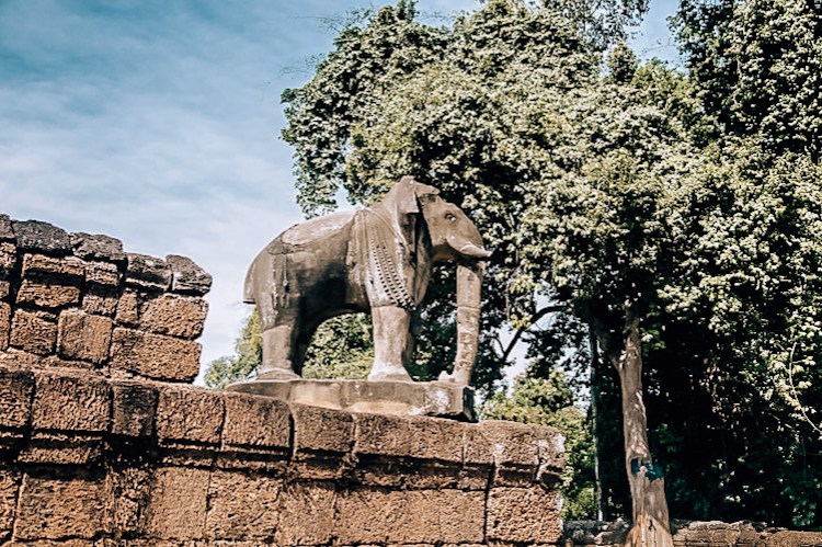 D135C1FA-A7CF-4957-943A-A9CBD9D9FF65