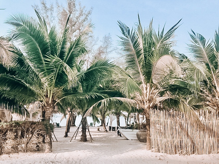 421B5439-EE15-4E4D-A9EF-27F53604E8F9