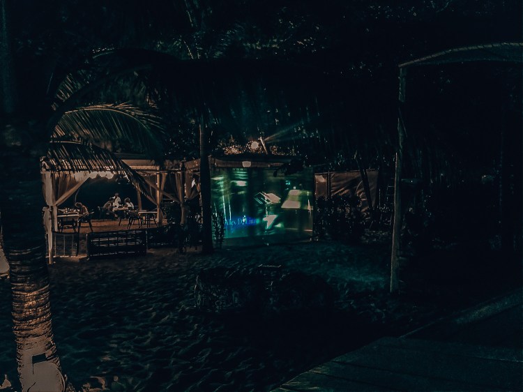 39F8E65F-22D6-4A14-8979-1025A6C02662