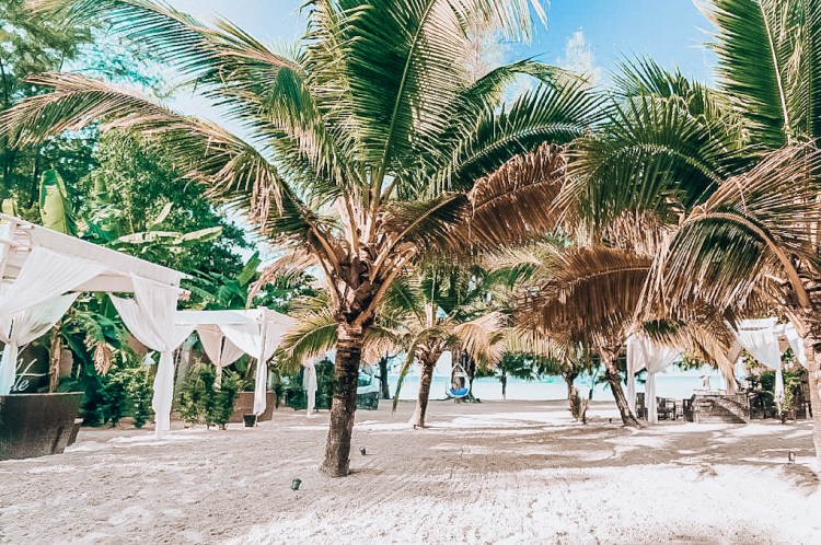 A5BE0D49-0F96-41FC-9B95-96A01CB717CE